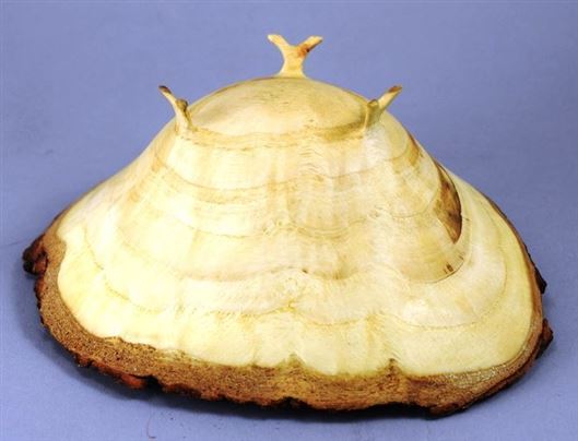Click for large image